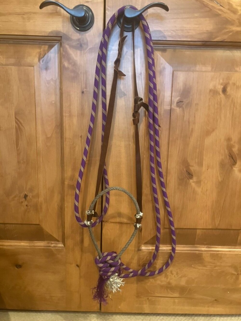 Purple loping Hackamore/bosal with loop reins